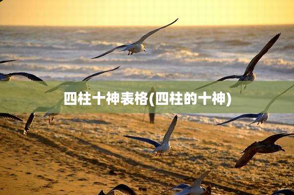 四柱十神表格(四柱的十神)