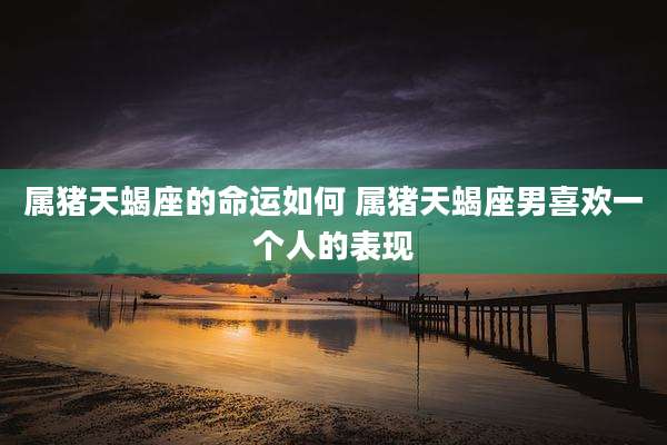 属猪天蝎座的命运如何 属猪天蝎座男喜欢一个人的表现