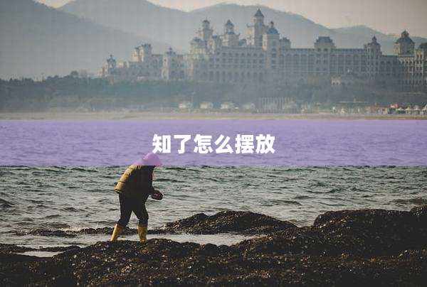 知了怎么摆放