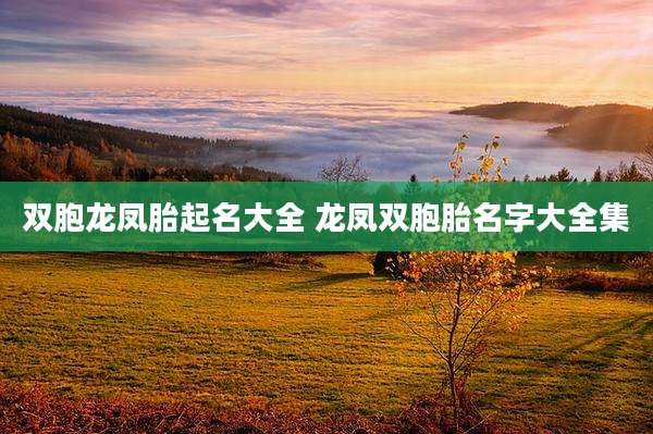 双胞龙凤胎起名大全 龙凤双胞胎名字大全集