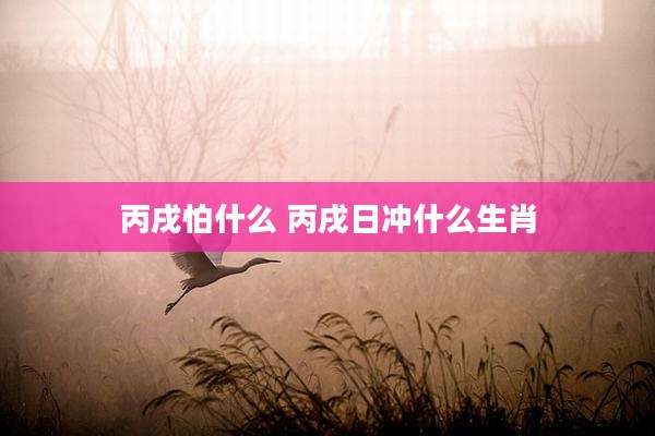 丙戌怕什么 丙戌日冲什么生肖