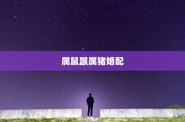 属鼠跟属猪婚配