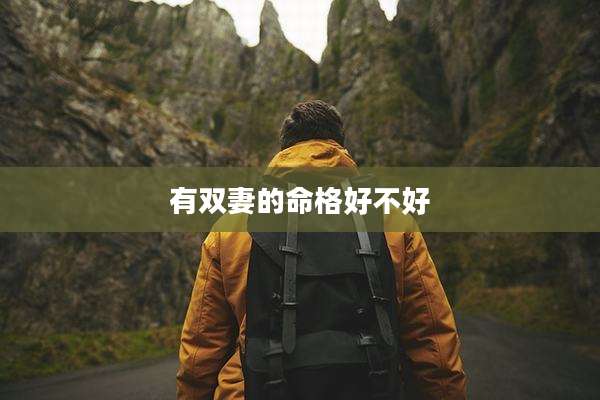 有双妻的命格好不好