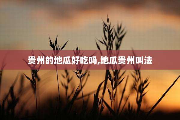 贵州的地瓜好吃吗,地瓜贵州叫法