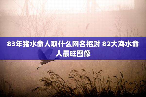 83年猪水命人取什么网名招财 82大海水命人最旺图像