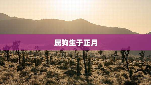 属狗生于正月