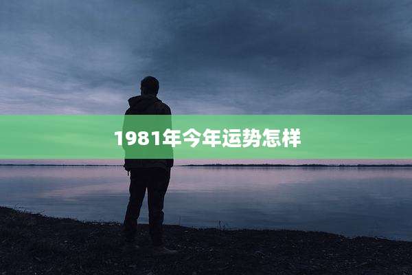 1981年今年运势怎样