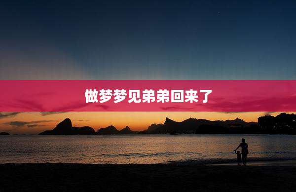 做梦梦见弟弟回来了