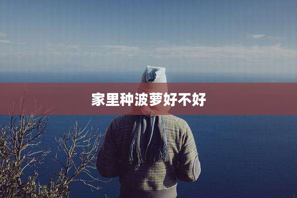 家里种波萝好不好