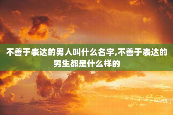 不善于表达的男人叫什么名字,不善于表达的男生都是什么样的