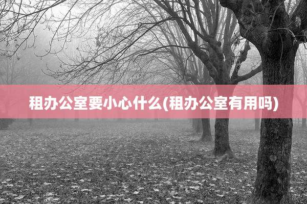 租办公室要小心什么(租办公室有用吗)