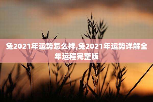 兔2021年运势怎么样,兔2021年运势详解全年运程完整版