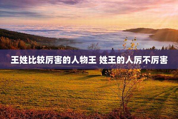 王姓比较厉害的人物王 姓王的人厉不厉害
