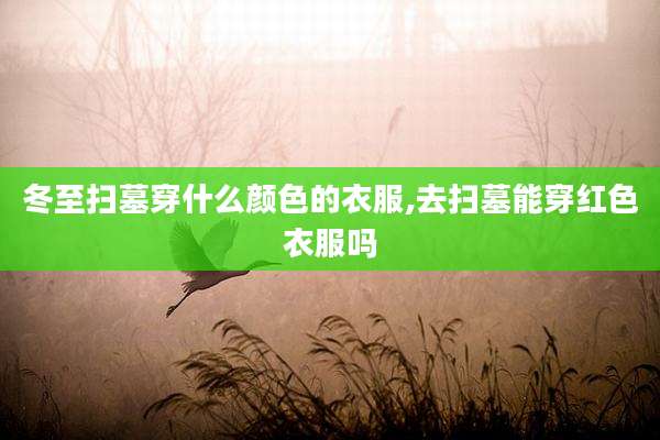 冬至扫墓穿什么颜色的衣服,去扫墓能穿红色衣服吗