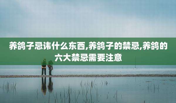 养鸽子忌讳什么东西,养鸽子的禁忌,养鸽的六大禁忌需要注意