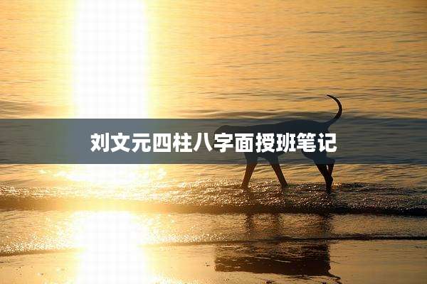 刘文元四柱八字面授班笔记