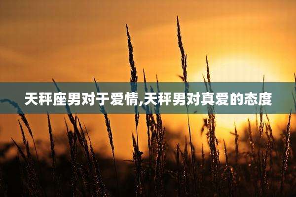 天秤座男对于爱情,天秤男对真爱的态度