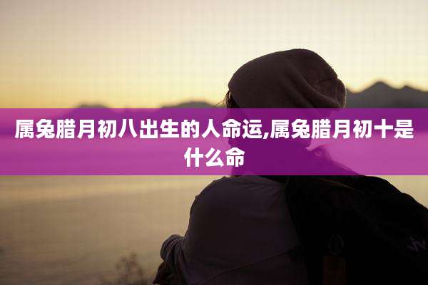 属兔腊月初八出生的人命运,属兔腊月初十是什么命