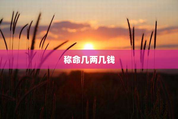 称命几两几钱