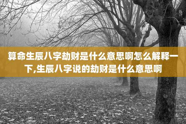 算命生辰八字劫财是什么意思啊怎么解释一下,生辰八字说的劫财是什么意思啊