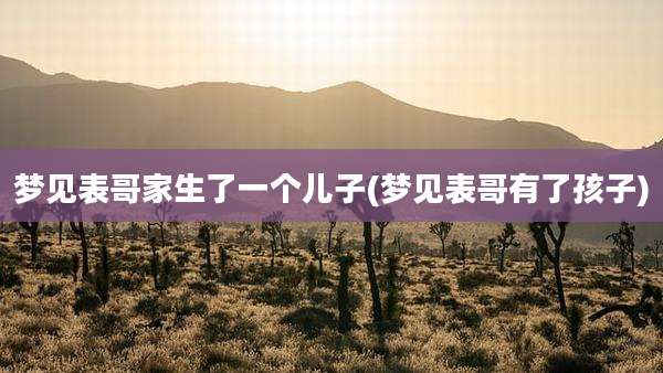 梦见表哥家生了一个儿子(梦见表哥有了孩子)