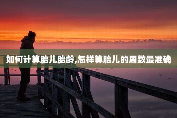 如何计算胎儿胎龄,怎样算胎儿的周数最准确