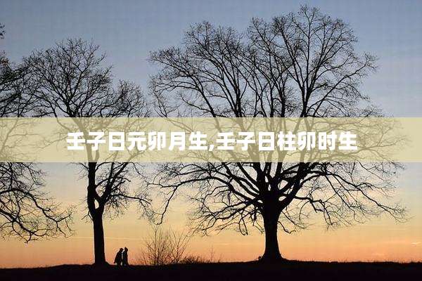 壬子日元卯月生,壬子日柱卯时生