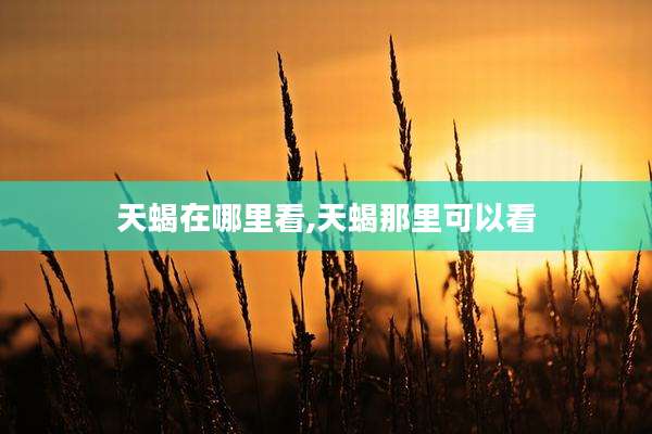 天蝎在哪里看,天蝎那里可以看
