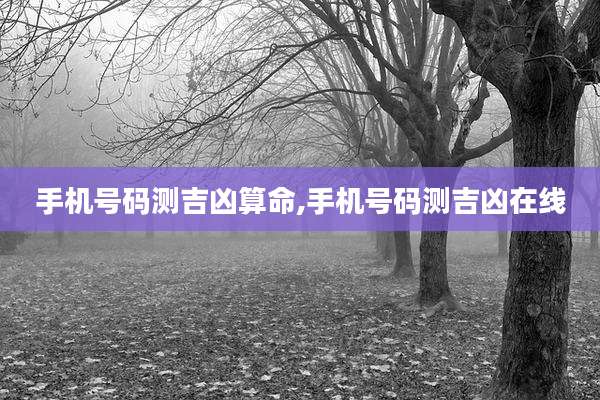 手机号码测吉凶算命,手机号码测吉凶在线