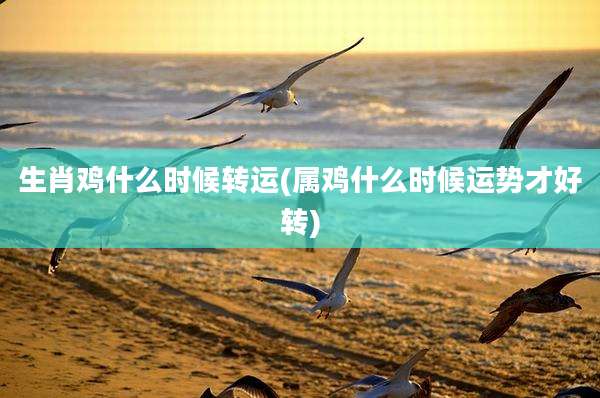 生肖鸡什么时候转运(属鸡什么时候运势才好转)
