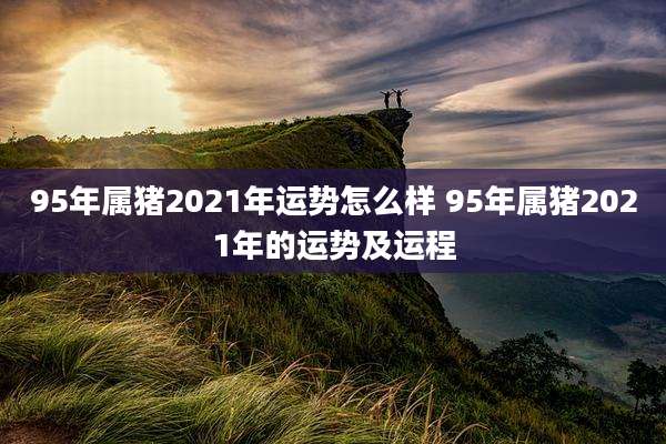 95年属猪2021年运势怎么样 95年属猪2021年的运势及运程