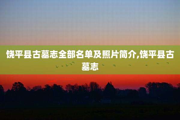 饶平县古墓志全部名单及照片简介,饶平县古墓志
