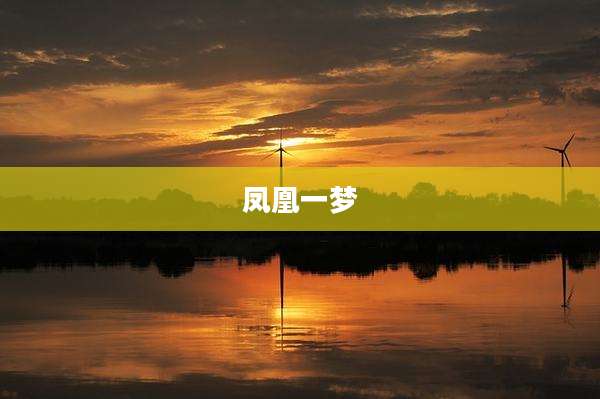 凤凰一梦