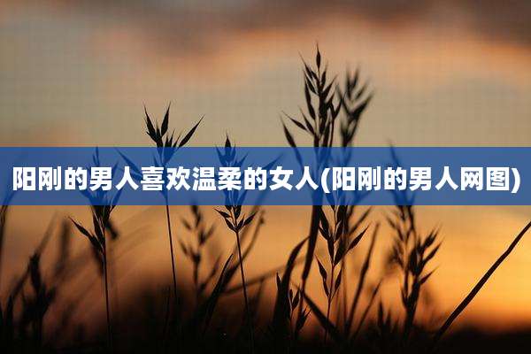 阳刚的男人喜欢温柔的女人(阳刚的男人网图)
