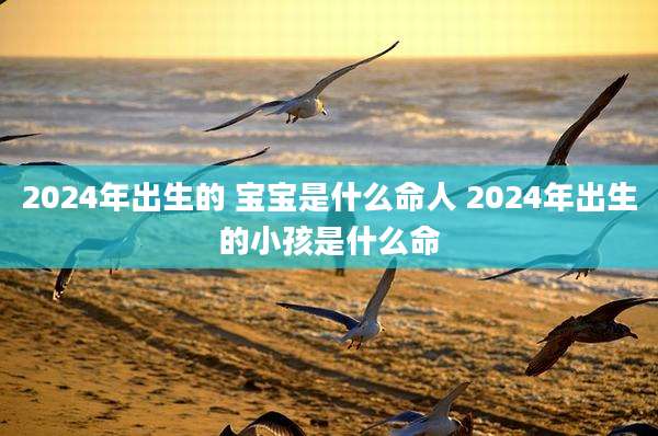 2024年出生的 宝宝是什么命人 2024年出生的小孩是什么命