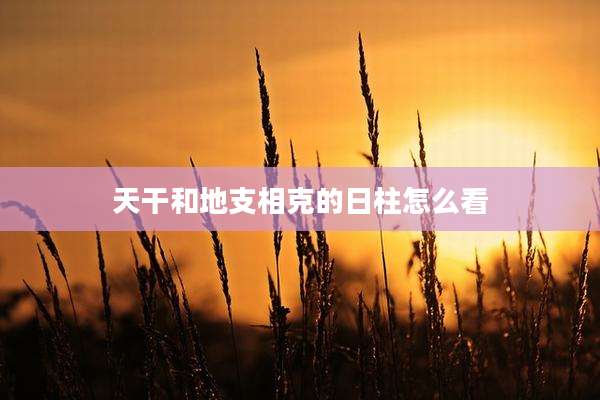 天干和地支相克的日柱怎么看