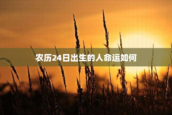 农历24日出生的人命运如何
