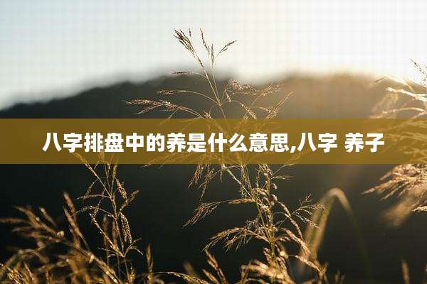 八字排盘中的养是什么意思,八字 养子