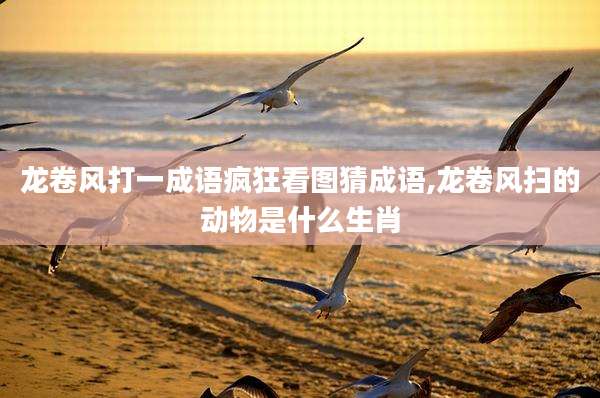 龙卷风打一成语疯狂看图猜成语,龙卷风扫的动物是什么生肖