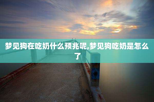 梦见狗在吃奶什么预兆呢,梦见狗吃奶是怎么了