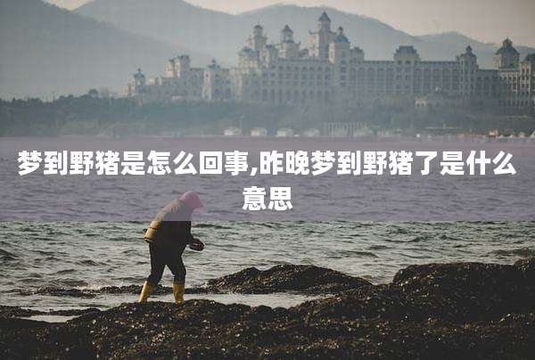 梦到野猪是怎么回事,昨晚梦到野猪了是什么意思