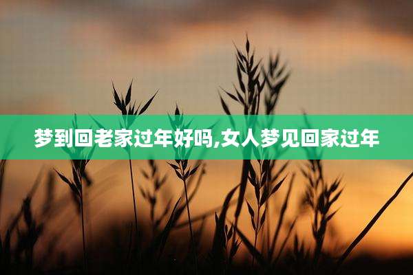 梦到回老家过年好吗,女人梦见回家过年