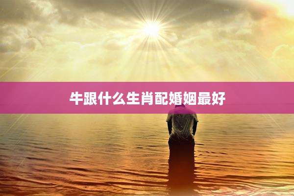 牛跟什么生肖配婚姻最好