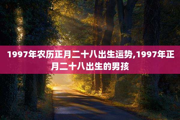 1997年农历正月二十八出生运势,1997年正月二十八出生的男孩