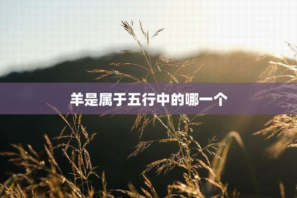 羊是属于五行中的哪一个