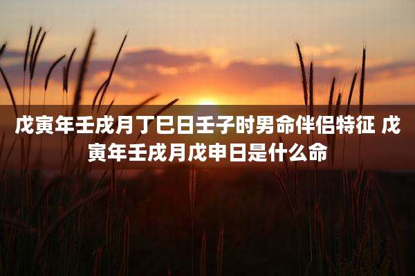 戊寅年壬戌月丁巳日壬子时男命伴侣特征 戊寅年壬戌月戊申日是什么命