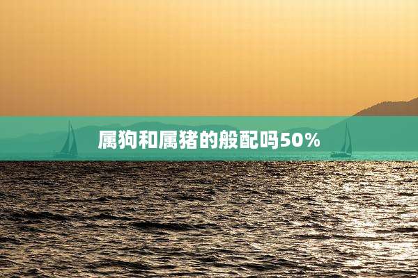 属狗和属猪的般配吗50%