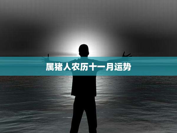 属猪人农历十一月运势