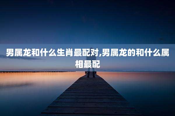 男属龙和什么生肖最配对,男属龙的和什么属相最配