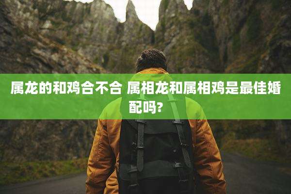 属龙的和鸡合不合 属相龙和属相鸡是最佳婚配吗?